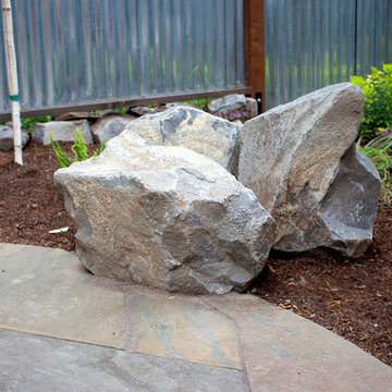 Tabor Modern Backyard