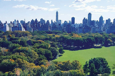 Photo of a contemporary landscaping in New York.
