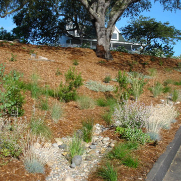 Natural Drainage