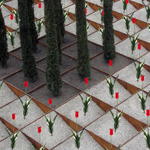 gardens