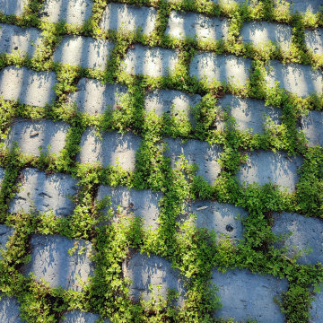Le patio