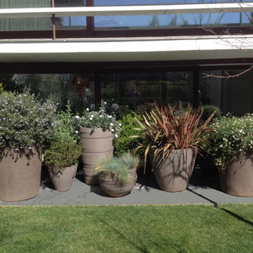 JARDÍN VIVIENDA EN SARRIÁ