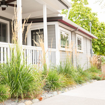 Drought-Tolerant Planting Border
