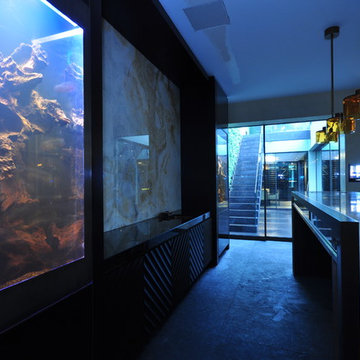 Aquarium Architecture