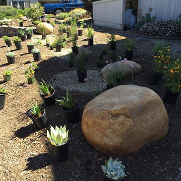 Bodega Bay Vacation Rental - in process