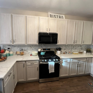 Transitional Kitchen Remodel Done in Swiss Elm Skye Cabinets
