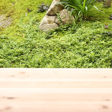 やさしいとき