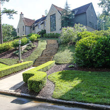 Landscape Ideas