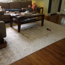 Living Room Rug