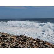 Debbie Cerundolo's photo