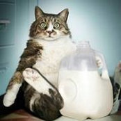 Mafer Carpio's photo