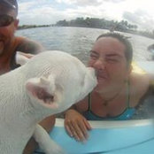 John Sommerville's photo