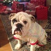 Linda Ryan's photo