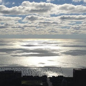 Erin S's photo