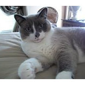 Teresa Skains's photo