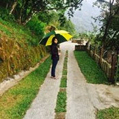 Shreya Reddy's photo