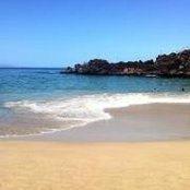 Debbie Wishart's photo