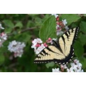 Debbie Gallant's photo