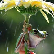 Kathy Ryan's photo