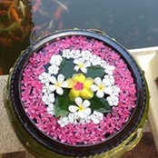 Edna Maguigad's photo