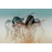 Ce de Carmona's photo