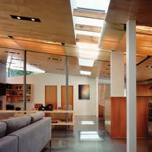 skylights