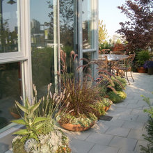 Exterior Ideas