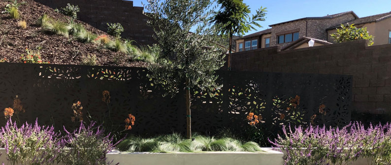 Envy Landscape Design Inc Project, Landscape Design San Diego Ca