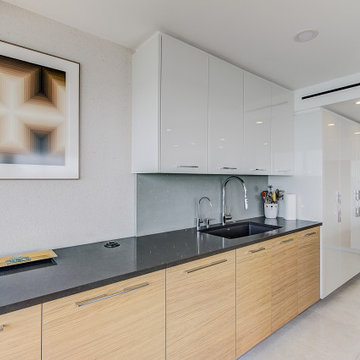 Downtown Sarasota Penthouse Remodel