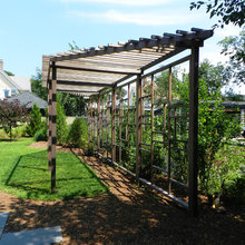 trellis