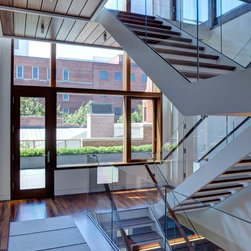 Contemporary Windows and Doors - Windows And Doors
