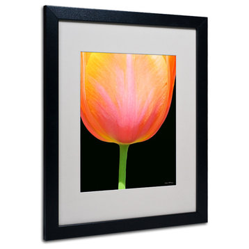 'Orange Tulip' Matted Framed Canvas Art by Kathie McCurdy