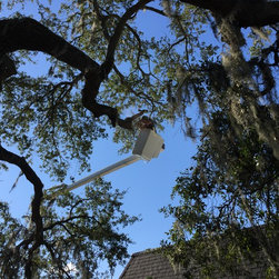 Removing dead limb - Outdoor Products