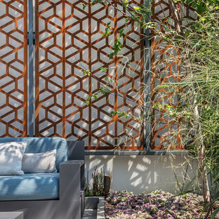 Urban Outdoor Retreat - Custom Trellis