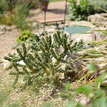 mediterraner Garten in Thüringen