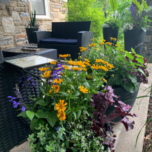 Outdoor Living