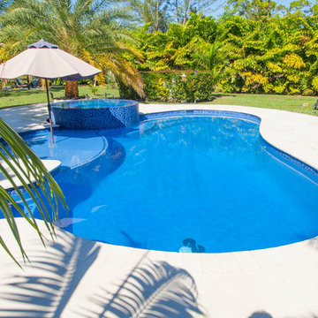 New Swimming Pool & Spa With Sunshelf in Parkland, Florida