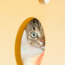 punti di vista