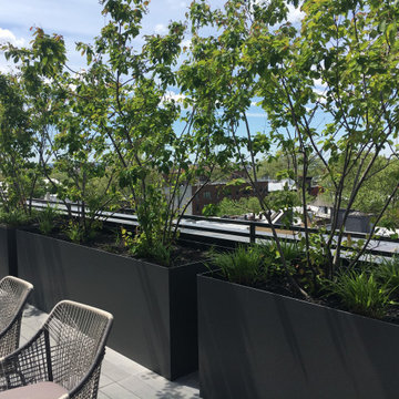 Brooklyn condo common space rooftop