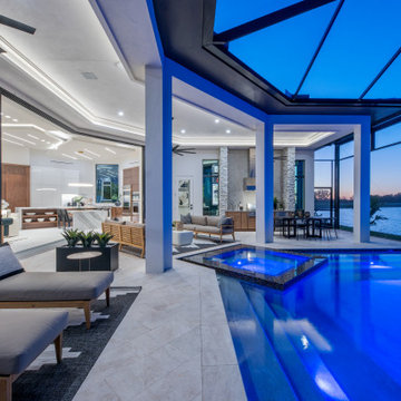 Sand Dollar Model