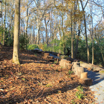 Anderson Backyard Woodland