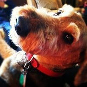 Christine Roddy's photo
