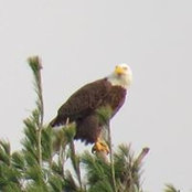 Mike Schott's photo