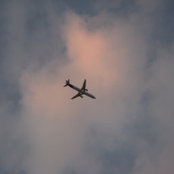 Mysara Algendi's photo
