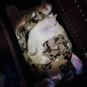Foto von Michelle Johnson