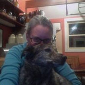 Susan Ross-Parent's photo