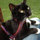 dorothy_mcelwee