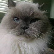 Melanie Hansen's photo