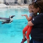 Amy Heinemann's photo