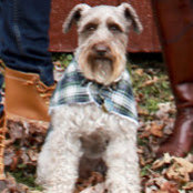 Lindsey Dunn's photo